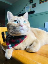 Charger l&#39;image dans la galerie, Foulard 2 en 1 pour chat et petit chien - StV010
