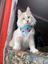 Charger l&#39;image dans la galerie, Foulard 2 en 1 pour chat et petit chien - StV010

