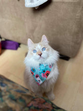 Charger l&#39;image dans la galerie, Foulard 2 en 1 pour chat et petit chien - StV010
