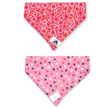 Charger l&#39;image dans la galerie, Foulard 2 en 1 pour chat et petit chien - StV025

