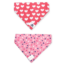 Charger l&#39;image dans la galerie, Foulard 2 en 1 pour chat et petit chien - StV027
