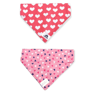 Foulard 2 en 1 pour chat et petit chien - StV027