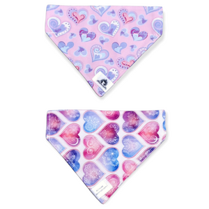 Foulard 2 en 1 pour chat et petit chien - StV029