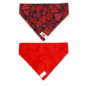 Foulard 2 en 1 pour chat et petit chien - StV001