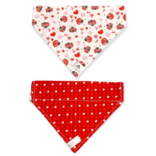 Charger l&#39;image dans la galerie, Foulard 2 en 1 pour chat et petit chien - StV009
