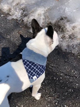 Charger l&#39;image dans la galerie, Foulard de jeans recyclés pour chien moyen - Feuilles d&#39;automne
