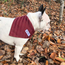 Charger l&#39;image dans la galerie, Foulard de jeans recyclés pour chien moyen - Feuilles d&#39;automne
