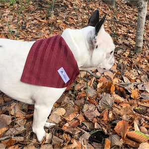 Foulard de jeans recyclés pour chien moyen - Feuilles d'automne