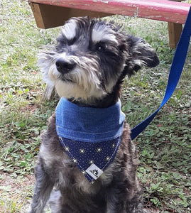 Foulard de jeans recyclés pour chien moyen - Deer skull