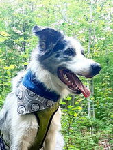 Charger l&#39;image dans la galerie, Foulard de jeans recyclés pour grand chien - Volutes grises
