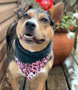Foulard de jeans recyclés pour grand chien - Couronne de Roi