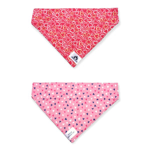 Foulard 2 en 1 pour grand chien - StV025