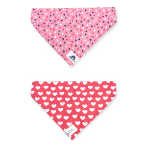 Foulard 2 en 1 pour grand chien - StV028