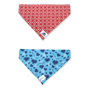 Foulard 2 en 1 pour grand chien - StV031