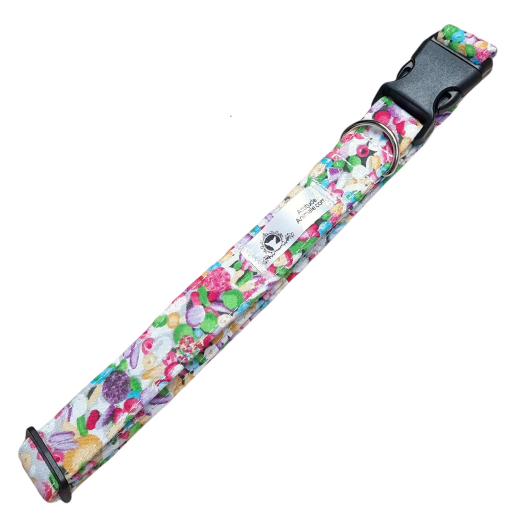 Collier pour chien et chat - C004