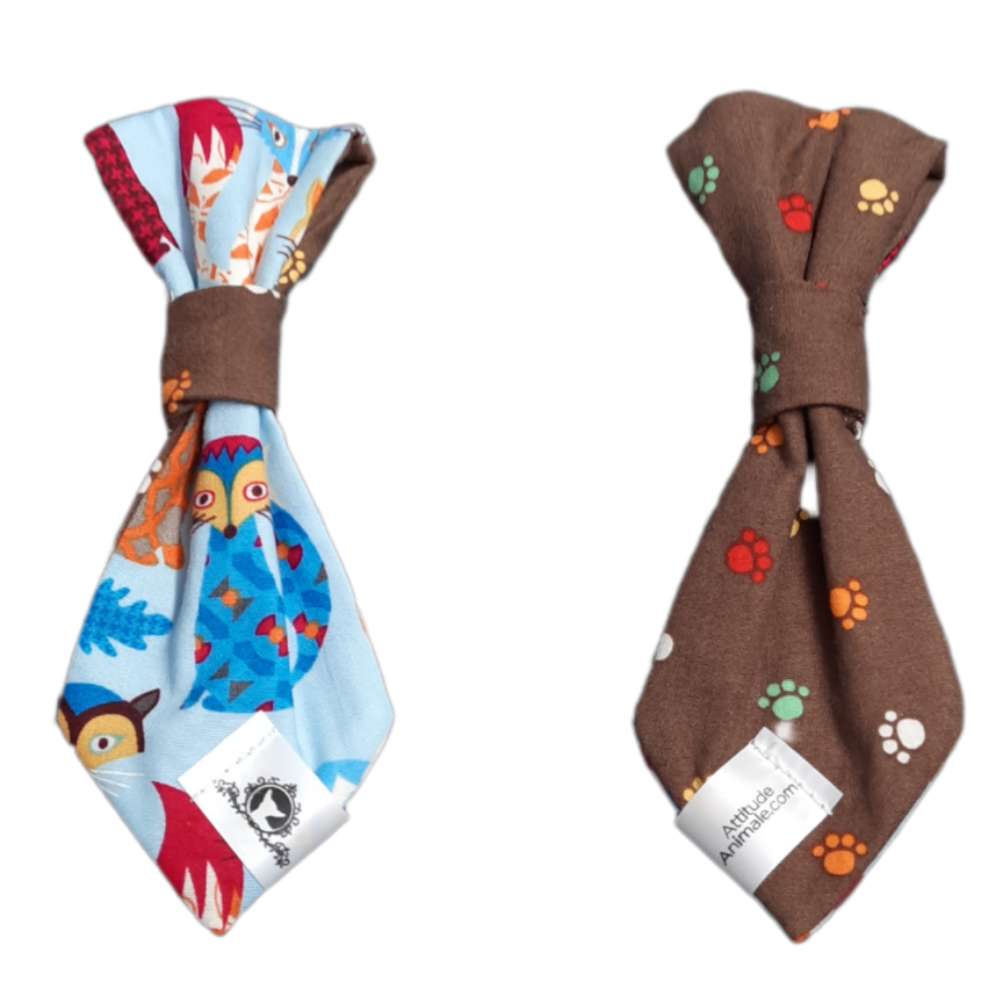 Cravate 2 en 1 - 6 po - Renard coloré