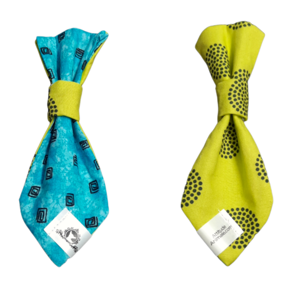 Cravate 2 en 1 - 6 po - Turquoise et vert lime