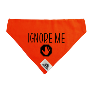 Bandana for large dog - IGNORE ME