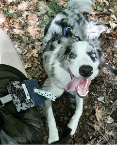 Porte-sac à déchets pour chien – Poop sac – Zèbre arc-en-ciel