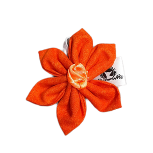 Fleur pour chien ou chat - no 105