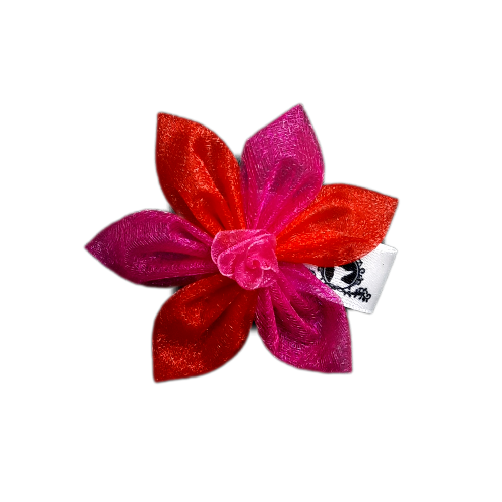Fleur pour chien ou chat - StV021
