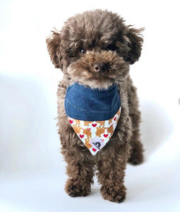 Foulard de jeans recyclés pour chat ou petit chien – Tendre bleu