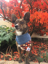 Charger l&#39;image dans la galerie, Foulard de jeans recyclés pour chat ou petit chien – Hibou
