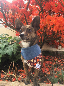 Foulard de jeans recyclés pour chat ou petit chien – Amour