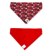 Charger l&#39;image dans la galerie, Foulard 2 en 1 pour chien moyen - StV006
