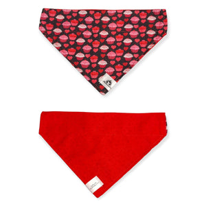 Foulard 2 en 1 pour chien moyen - StV006