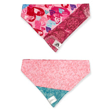 Charger l&#39;image dans la galerie, Foulard 2 en 1 pour chien moyen - StV011
