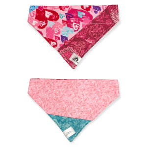 Foulard 2 en 1 pour chien moyen - StV011