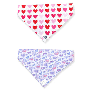 Foulard 2 en 1 pour chien moyen - StV041