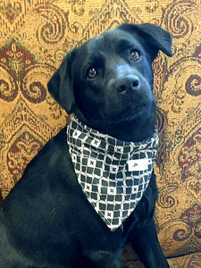 Foulard chic pour grand chien - Carrés de picots noirs et blancs