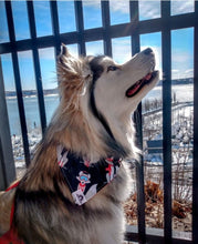 Charger l&#39;image dans la galerie, Foulard de jeans recyclés pour grand chien - Volutes grises
