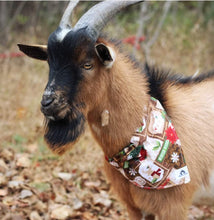 Charger l&#39;image dans la galerie, Foulard de jeans recyclés pour grand chien - Renard
