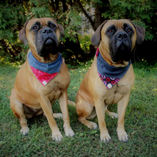 Charger l&#39;image dans la galerie, Foulard de jeans recyclés pour grand chien - Volutes grises
