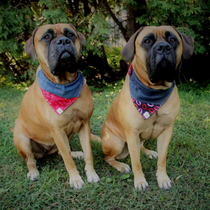 Foulard de jeans recyclés pour grand chien - Volutes grises