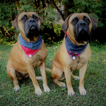 Charger l&#39;image dans la galerie, Foulard de jeans recyclés pour grand chien - Fiesta fushia
