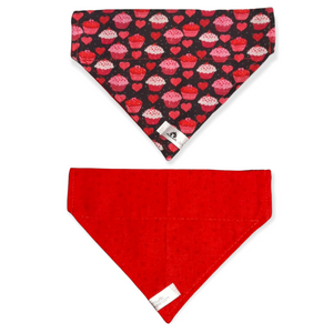 Foulard 2 en 1 pour chat et petit chien - StV006