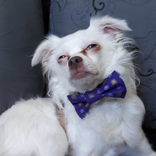 Charger l&#39;image dans la galerie, Nœud papillon pour chat ou petit chien - Noël no 21
