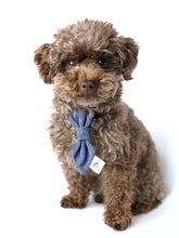 Charger l&#39;image dans la galerie, Cravate 2 en 1 - 4 po - Volutes dorées de Noël
