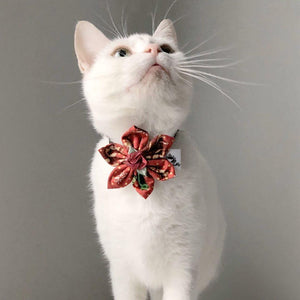 Fleur pour chien ou chat - Féérie de Noël blanc - no 120