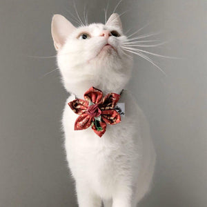 Fleur pour chien ou chat - no 164