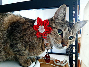 Fleur pour chien ou chat - Féérie de Noël - no 132