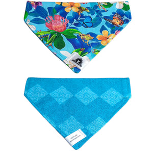 Foulard 2 en 1 pour chat et petit chien - PE007