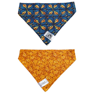 Foulard 2 en 1 pour chat et petit chien - Automne A006