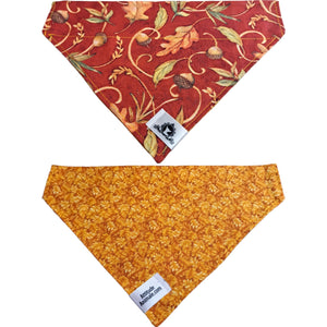 Foulard 2 en 1 pour grand chien - Automne A007