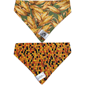 Foulard 2 en 1 pour chat et petit chien - Automne A008