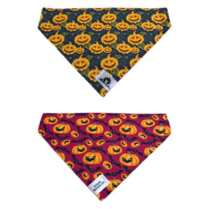 Foulard 2 en 1 pour grand chien - Halloween H008